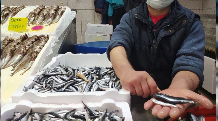 Hamsi, balıkçıları memnun etmedi