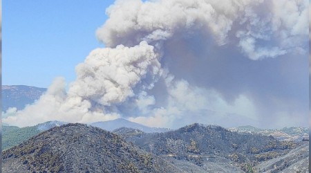 Hatay'da kontrol altna alnan yangn tekrar alevlendi