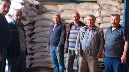 Hibe destekli çeltik tohumu