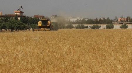 Hububatta düşük rekolte üreticiyi üzdü