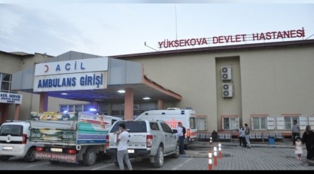 İki aile arasında kavgada 2 ölü