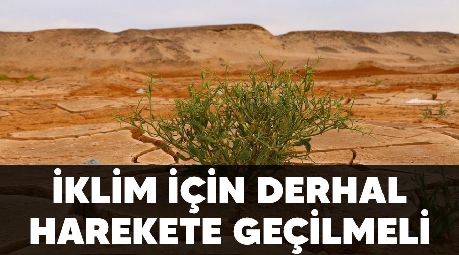 �klim i�in derhal harekete ge�ilmeli
