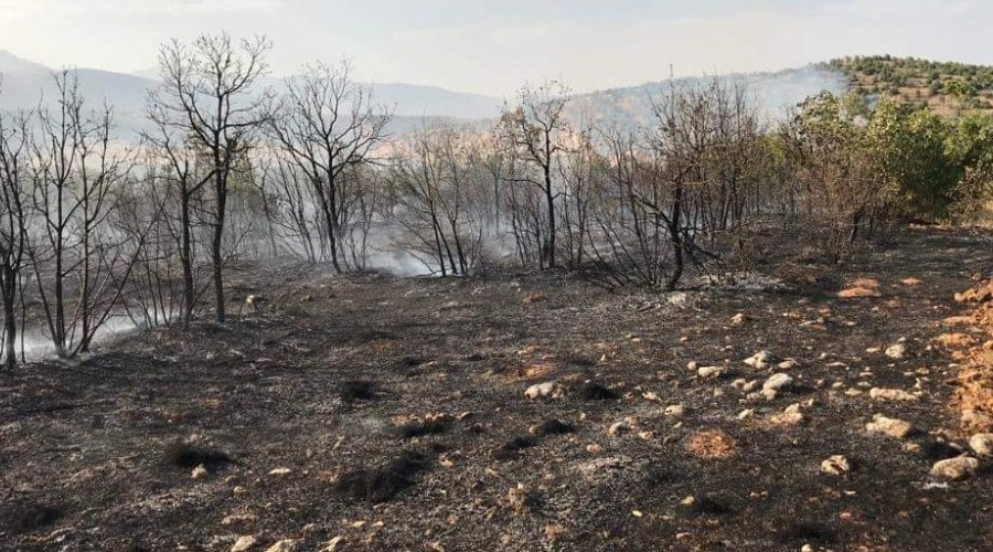 İmece usulü müdahale