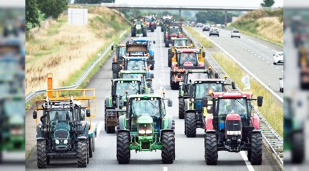 İspanya'da tarım işçileri grevde