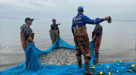 İznik Gölü'nde gümüş balığı sezonu açıldı