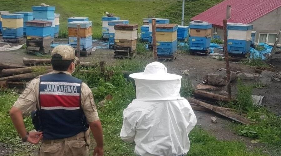 �zoleli co�rafi b�lgeye ar� �rk� sokan �ahsa 15 bin 203 lira ceza kesildi