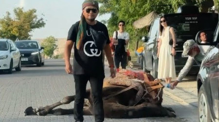 Kapadokya'da iş yüküne dayanamayan deve bayıldı