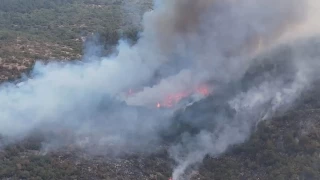 Karabk'teki orman yangnyla ilgili 5 yabanc uyruklu kii serbest brakld