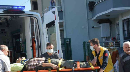 Kestiği incir ağacının altında ölümden döndü