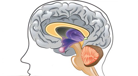 ‘Kilo veremiyorsanız cushing araştırılmalı’