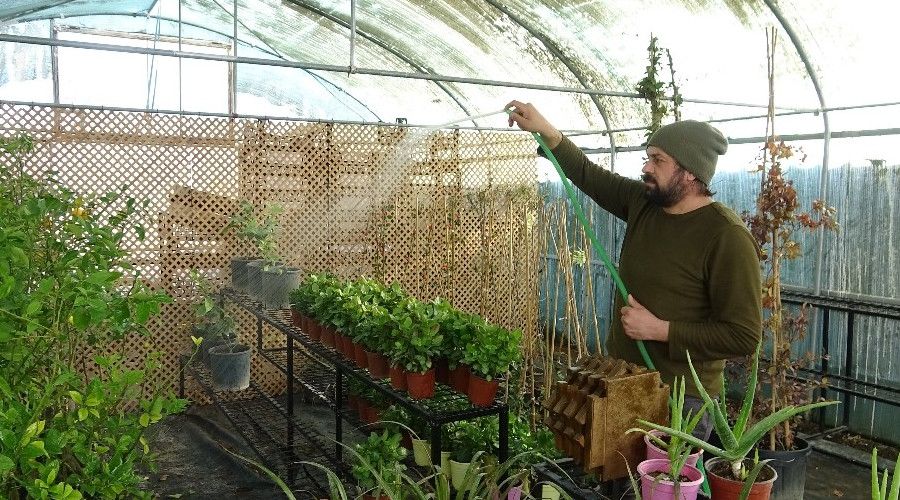 Kuraklık bitkilerin kimyasını da değiştirdi