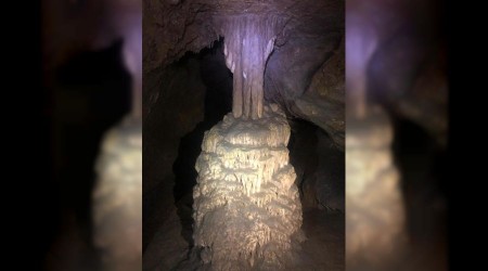 Küre Dağları Milli Parkı'nda şaşırtıcı keşif