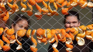 Limon ve turun� kabuklar� kad�nlar�n elinde de�erleniyor