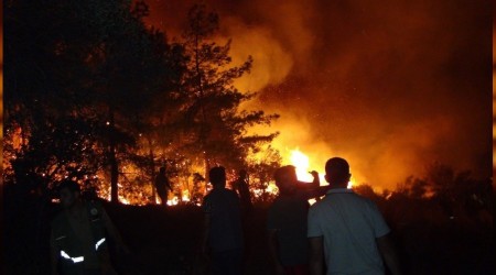 Manavgat'taki orman yangını kontrol altına alındı