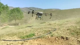 Manisa'da ekirgeye kar havadan ve karadan mcadele