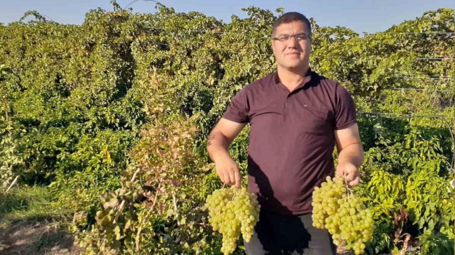 Modern tarım ile 17 ayda tonlarca üzüm elde etti