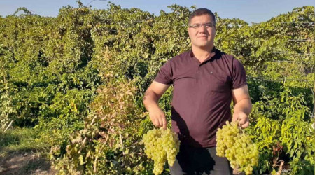 Modern tarım ile 17 ayda tonlarca üzüm elde etti
