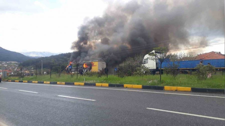 Mu�la'da alevler t�r� k�le �evirdi