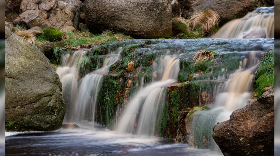 �O g�n peygamberlerden ba�kas� konu�maz�