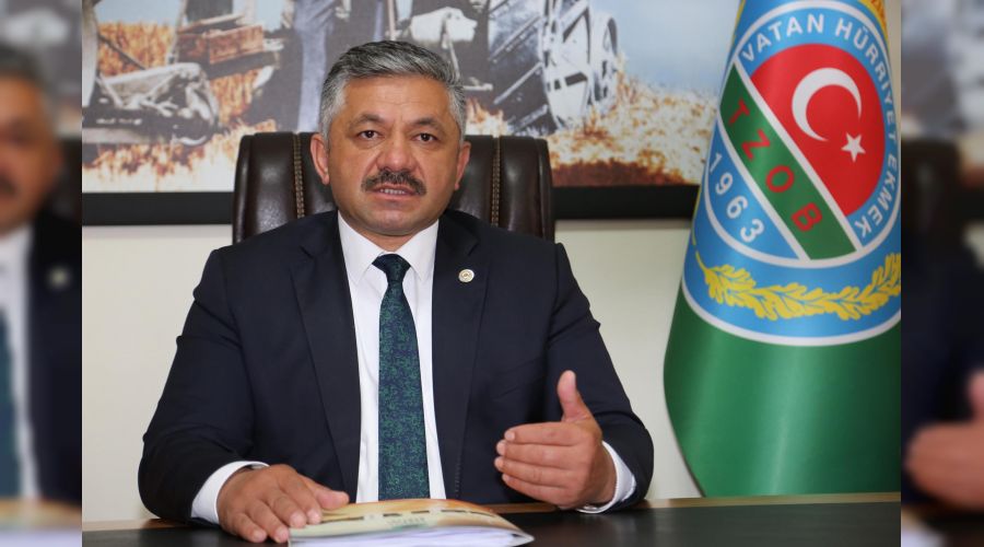 Ordu'da fındık 23 liradan işlem görüyor