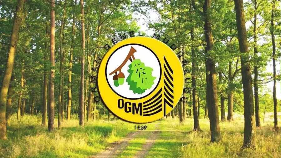 Orman Genel Mdrl 224 ii alacak