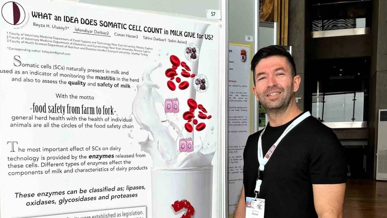 Salgına neden olan kedi koronavirüsü için PCR kiti geliştirildi