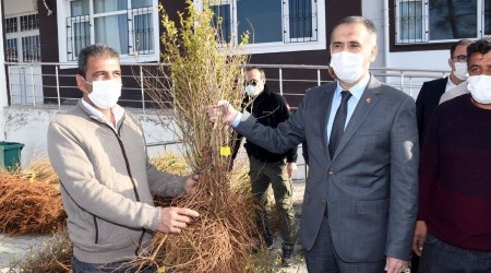 Samsatlı çiftçilere 20 bin adet nar fidesi dağıtıldı