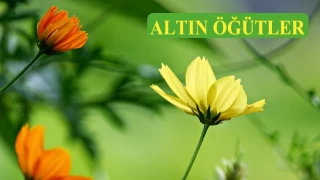 ‘Secdede iken ruhumu alırsın’