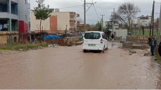 Siirt'te sa�anak ya��� hayat� olumsuz etkiledi