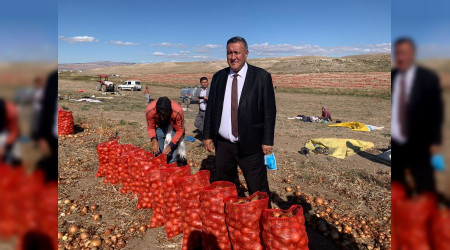 Soğan tarlada kaldı