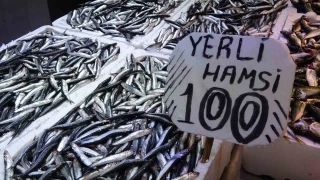 Son y�llar�n en uzun hamsi sezonu ya�an�yor