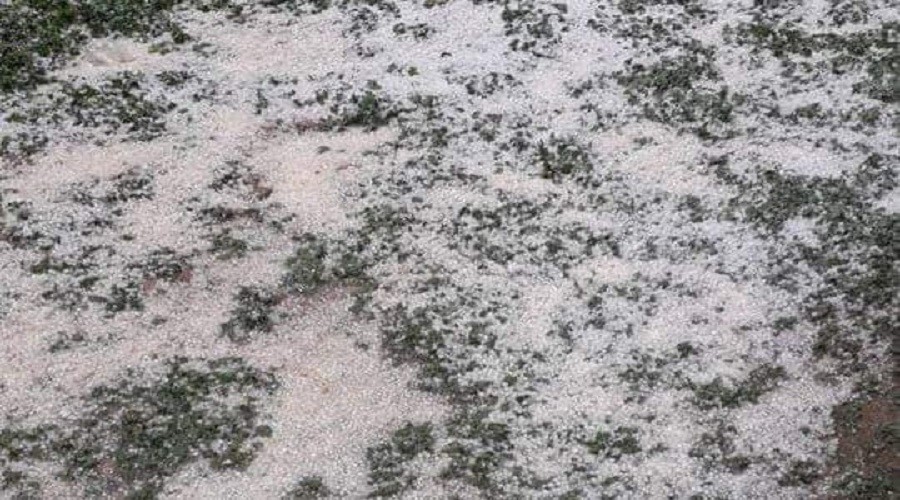 Tar�m alanlar�nda b�y�k zarar