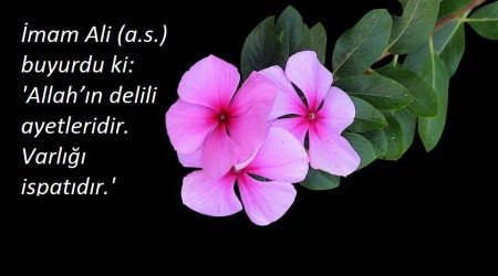 Tasavvur edilen her şey O'nun tersinedir