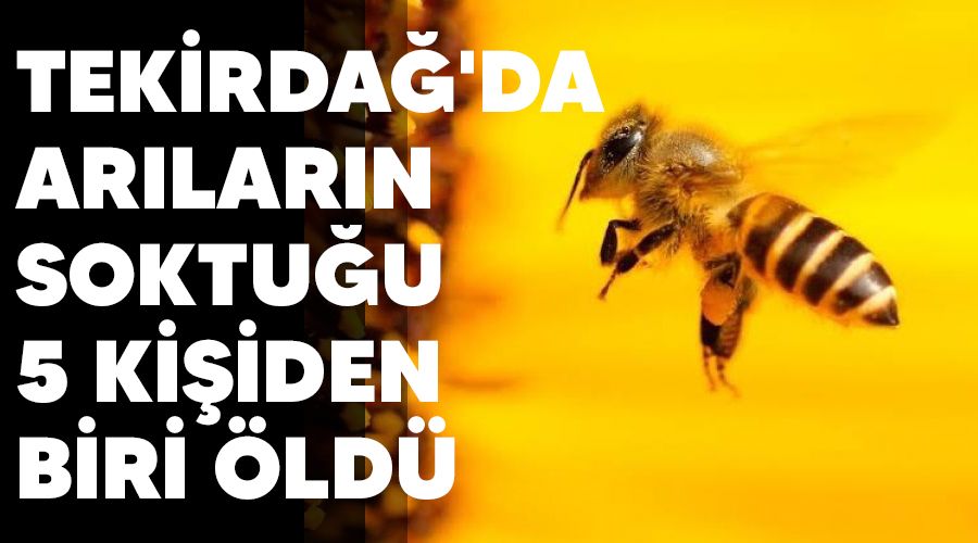 Tekirda�'da ar�lar�n soktu�u 5 ki�iden biri �ld�