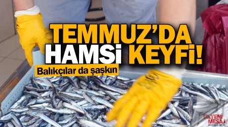 Temmuz'da hamsi keyfi!