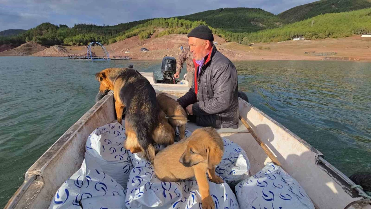 Tokatl� bal�k��, �ila'y� bulana �eyrek alt�n verecek
