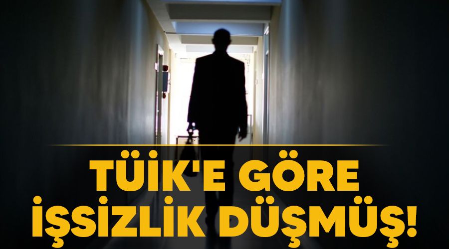 TÜİK'e göre  işsizlik düşmüş!