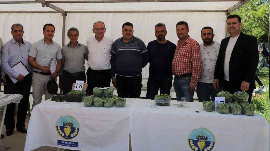 Turgutlu'da 'En Güzel Erik Yarışması' düzenlendi