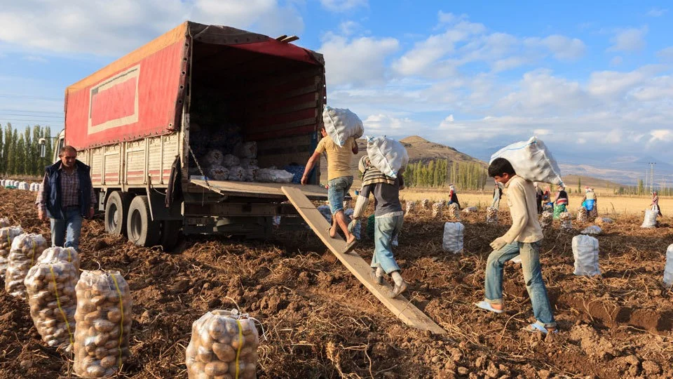 �retim ve verimlilik -2-