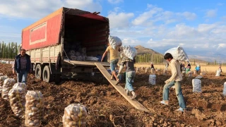 Üretim ve verimlilik -2-