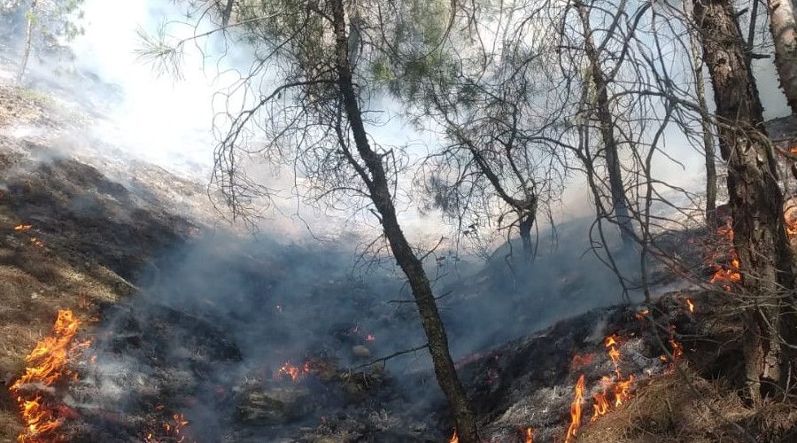 U�ak'ta faciadan d�n�ld�, 1 hektar alan k�l oldu