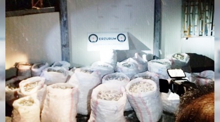 Uyuşturucu konusunda yeni bir rekor kırıldı