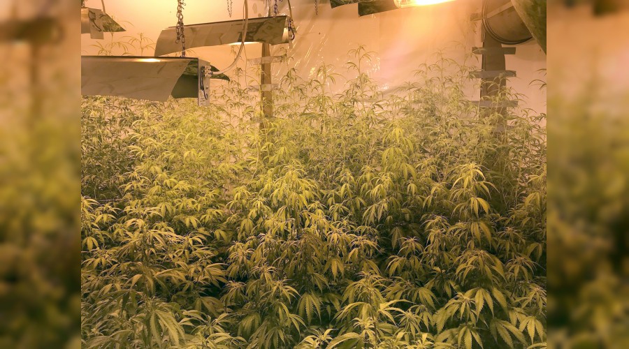 Uyu�turucu villalar�na bask�n