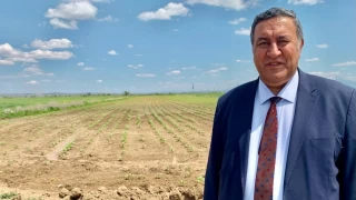 Verimli tarım arazileri yabancılara satılıyor