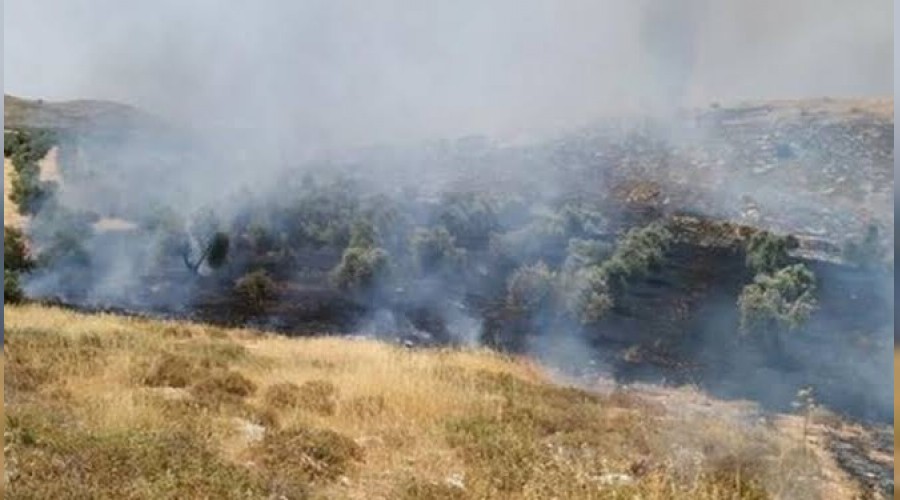 Yahudiler Filistinlilerin arazilerini yaktı