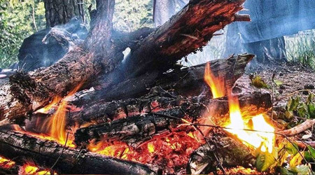 Yalova'da piknik ve mangal yasaklandı