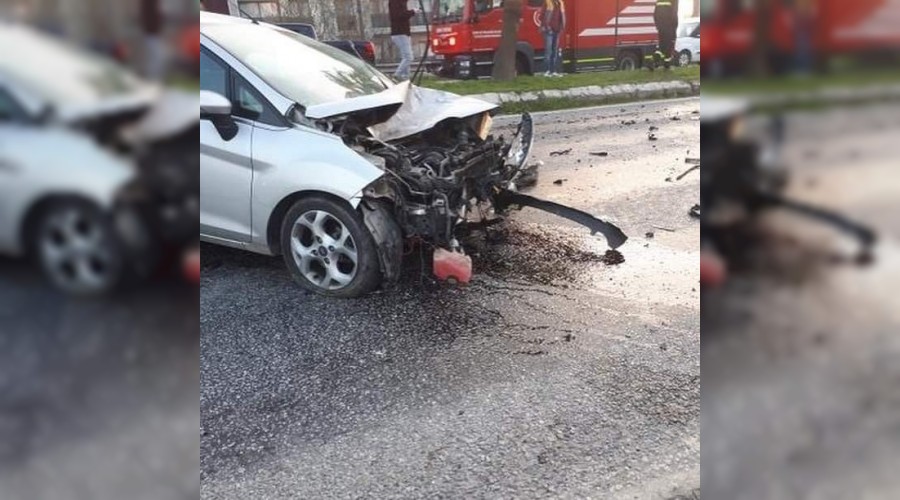 Yola çıkan köpek kazaya neden oldu
