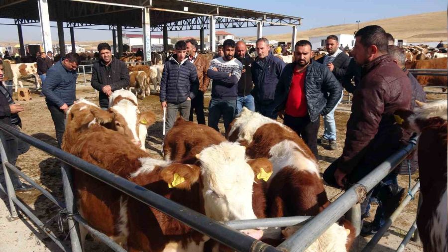 Yozgat'ta hayvan pazarlarında yoğunluk sürüyor