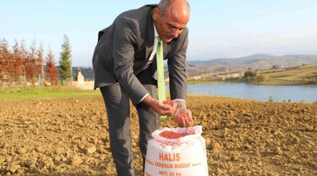 300 çiftçiye 30 ton tohum desteği