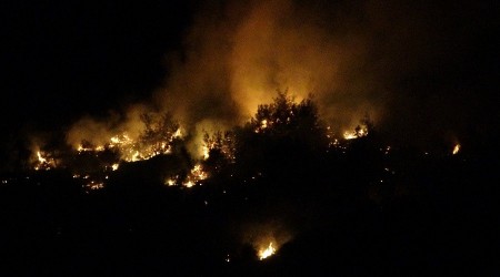 Adana’da orman yangını